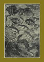 Carnet ligné : Vingt mille lieues sous les mers, Jules Verne, 1871, Le Fleuve Noir