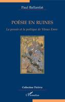 Poésie en ruines, La pensée et la poétique de yûnus emre