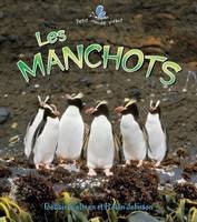 Les manchots