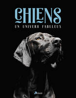 Chiens - un univers fabuleux