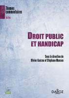 DROIT PUBLIC ET HANDICAP - THEMES ET COMMENTAIRES, Thèmes et commentaires