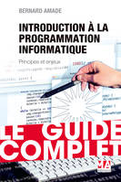 Introduction à la programmation, Principes et enjeux