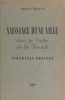 Naissance d'une ville dans la vallée de la Fensch : Serémange-Erzange