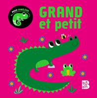 Petit caméléon - Grand et petit