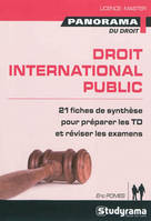 Droit international public