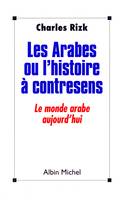 Les Arabes ou l'Histoire à contresens, Le monde arabe aujourd'hui