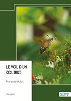 Le vol d'un colibri