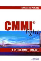 CMMI light, La performance tangible