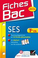 Fiches Bac SES Tle ES, Fiches de cours - Terminale ES