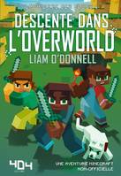 La guerre des blocs, 1, Descente dans l'overworld