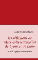 les réflexions de Maheva-les retrouvailles de Lyam et de Liam, jeux de logique, prose et poésie