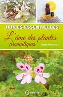 Huiles essentielles - l'âme des plantes aromatiques