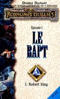 Double diamant., 1, Double Diamant Tome 1 : Le Rapt