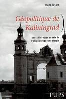 Geopolitique de kaliningrad, une île russe au sein de l'Union européenne élargie