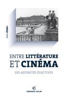 Entre littérature et cinéma, Les affinités électives