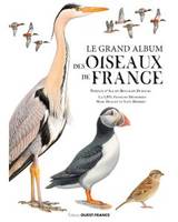 Le grand album des oiseaux de France