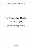 La mauvaise herbe de l’afrique, L’Afrique et ses régimes militaires, des vraies causes du retard de ce riche continent