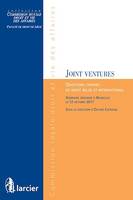 Les joint ventures, Questions choisies de droit belge et international