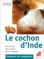 Le cochon d'Inde, bien le soigner, bien le nourrir, bien le comprendre