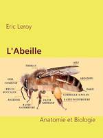 L'Abeille, Anatomie et Biologie