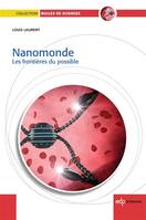 Nanomonde, Les frontières du possible