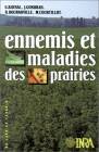 Ennemis et maladies des prairies