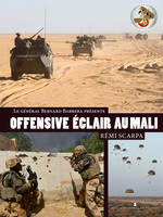 Offensive éclair au Mali / ceux de la brigade racontent