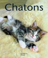 Chatons