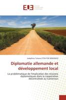 Diplomatie allemande et développement local, La problématique de l'implication des missions diplomatiques dans la coopération décentralisée au Ca