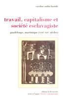 Travail, capitalisme et société esclavagiste, Guadeloupe, Martinique, XVIIe-XIXe siècle