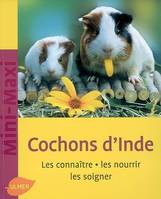 Cochons d'Inde. Les connaître, les nourrir, les soigner (NE), les connaître, les nourrir, les soigner