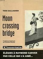 Moon crossing bridge