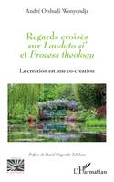 Regards croisés sur <i>Laudato si'</i> et <i>Process theology</i>, La création est une co-création