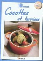 100 recettes de cocottes et terrines