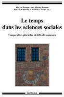 Le temps dans les sciences sociales - temporalités plurielles et défis de la mesure