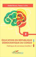 Éducation en République Démocratique du Congo, Fabrique de cerveaux inutiles ?