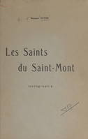 Les saints du Saint-Mont, Essai d'iconographie