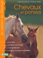 Chevaux et poneys