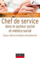 Chef de service dans le secteur social et médico-social, Enjeux, rôles et stratégies d'encadrement
