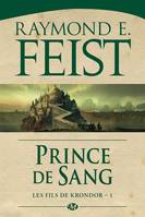 Les fils de Krondor, 1, Prince de sang