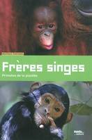 Frères singes, primates de la planète