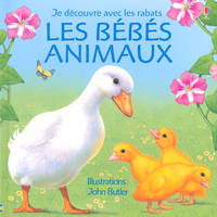 BEBES ANIMAUX