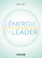 L'énergie du leader, La cultiver, la concentrer, la diffuser