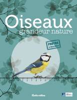 Oiseaux grandeur nature, Identifier facilement les oiseaux du jardin !