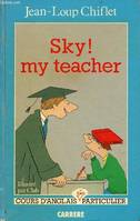 Sky ! my teacher - cours d'anglais très particulier., cours d'anglais (très) particulier