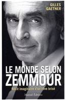 Le Monde selon Zemmour, Récit imaginaire d'un rêve brisé