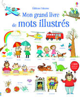 Mon grand livre de mots illustrés