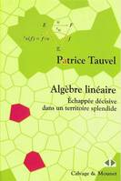 Algèbre linéaire, Échappée décisive dans un territoire splendide