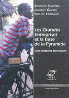 Les grandes entreprises et la base de la pyramide, Cinq histoires françaises.