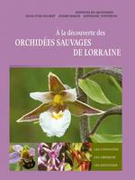 À la découverte des orchidées sauvages de Lorraine